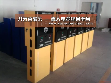 产品名称六(图1)