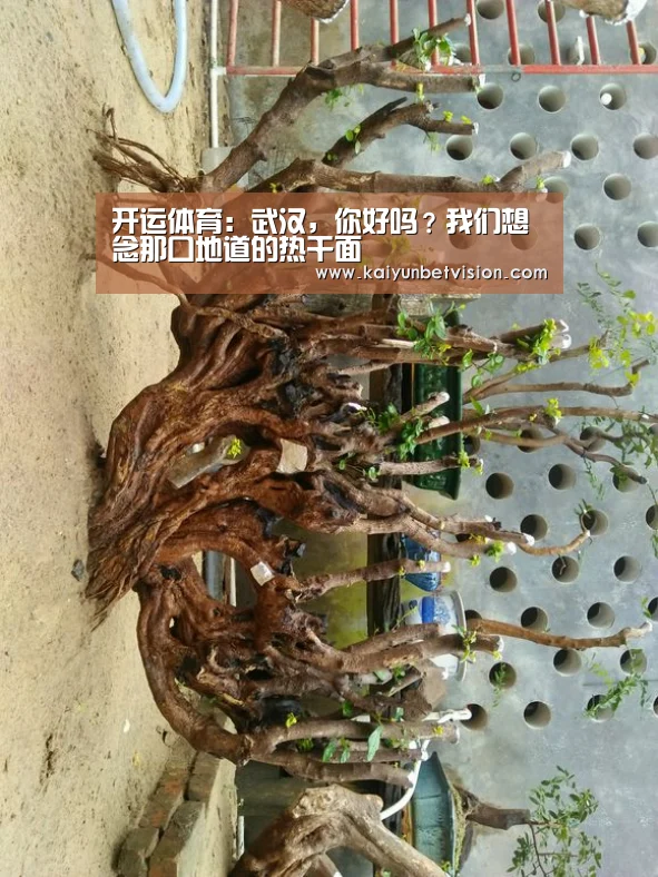 开运体育:武汉,你好吗?我们想念那口地道的热干面(图1) 开运体育